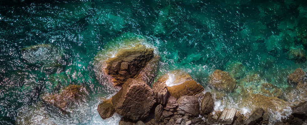 alex-blajan-m6zZcToS6ec-unsplash copy.jp
