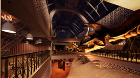 03 Indoor Night View