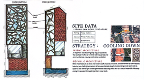 01 Elevations & Site