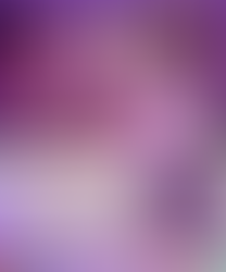 シュリータ発表会2026