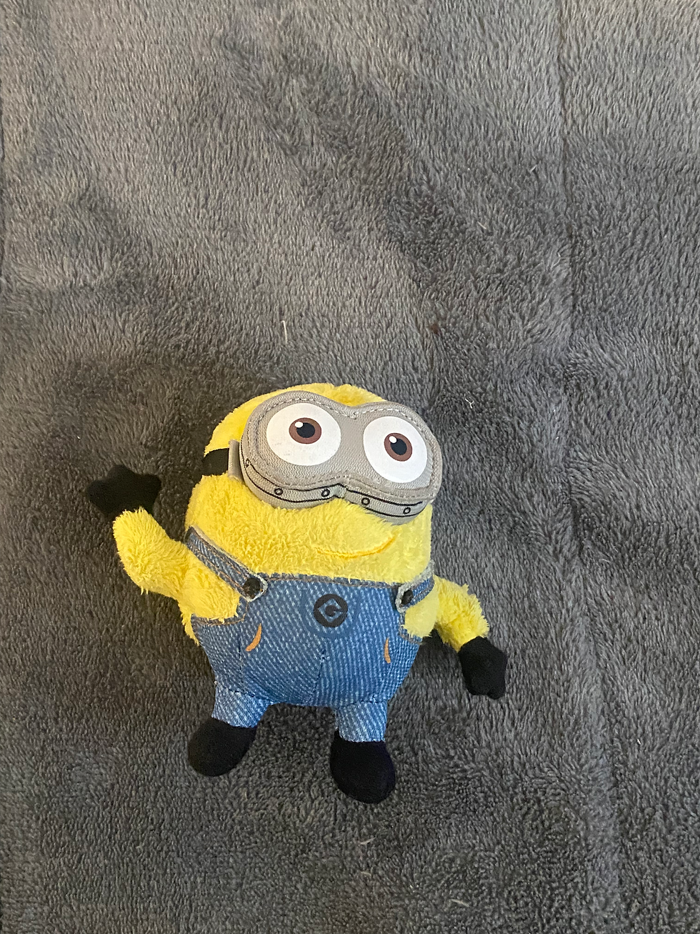 Minion
