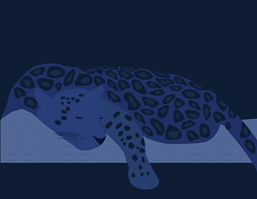 Blue Jag-02.png