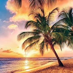 zakat-087-3-92kh2-6-m