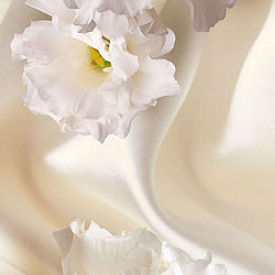 belaya-sonata-158-0-98kh2-6-m