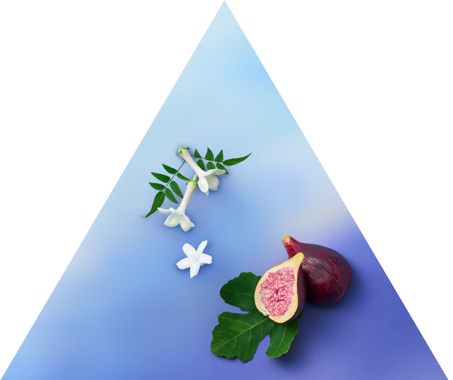 product_info02.png