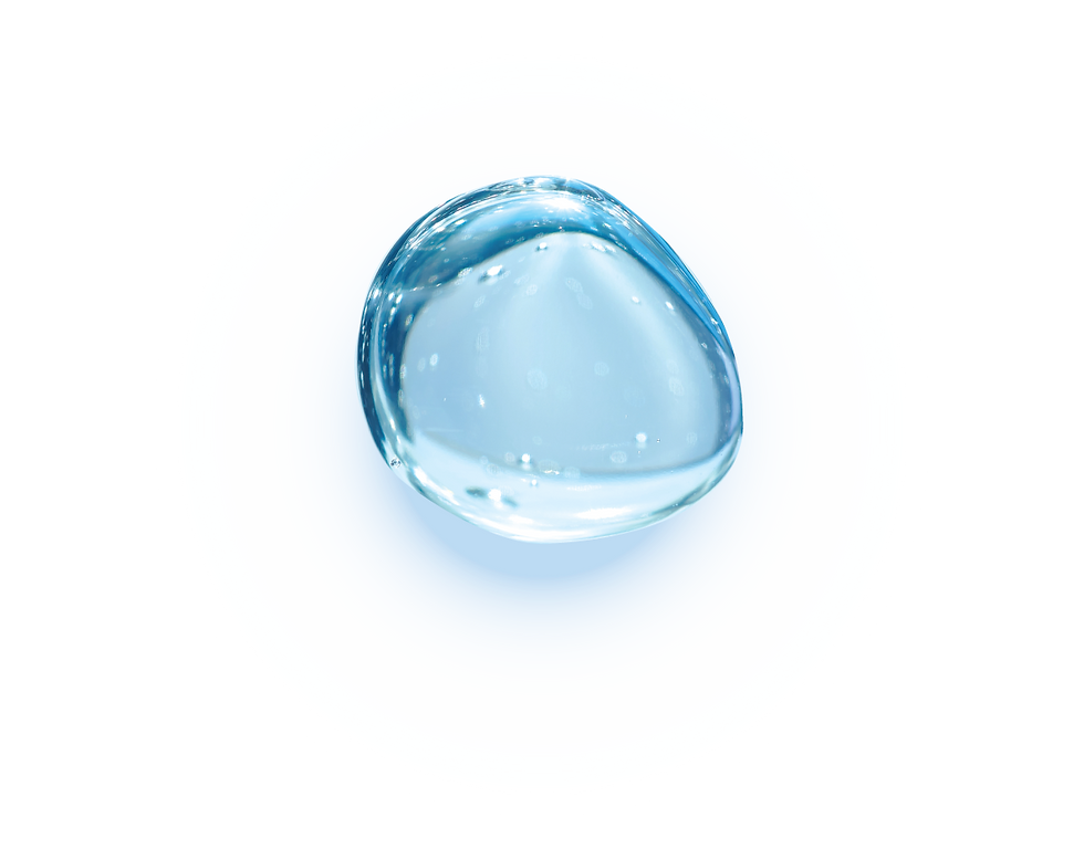 Asset 6.png