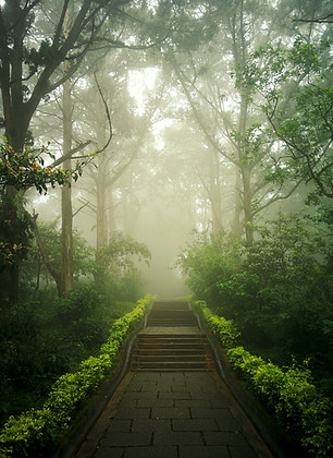 pathway.jpeg
