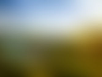 Dreaming of coming on a trip Ireland? We’ll help you experience it like a local.