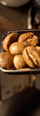 Roasted coffee beans in a scoop