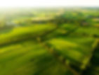 Aerial view of lush green Irish countryside
