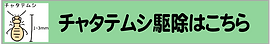 害虫駆除001チャタテムシ.png