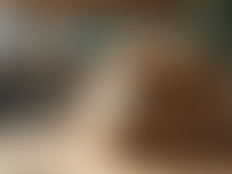 Exploring the Excitement of Blind Date Books