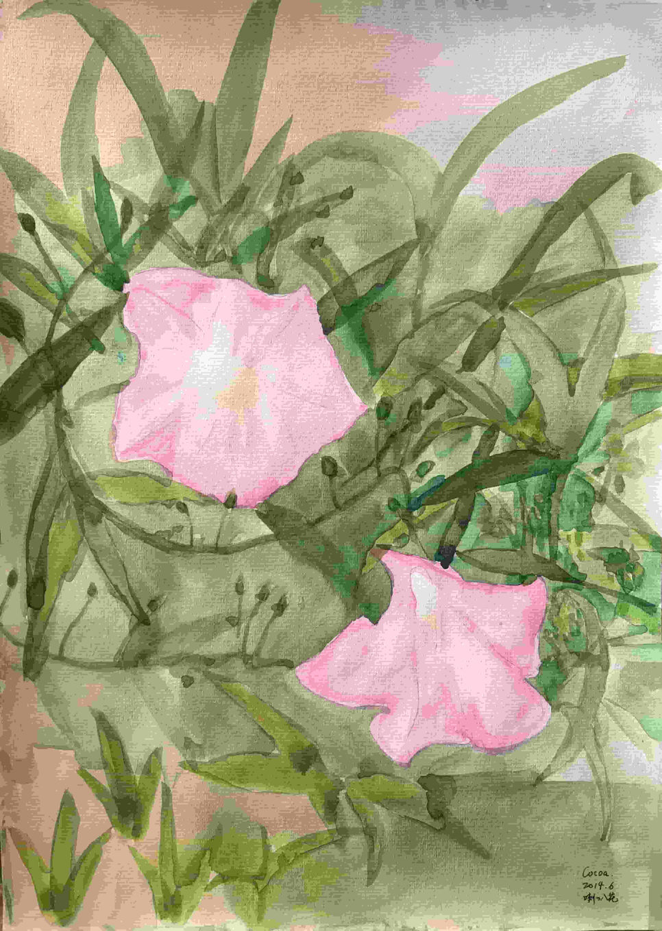 Morning glory-2014-Cocoa-Watercolor-3