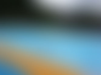 060709 TUE ５・６年生水泳チャレンジデー