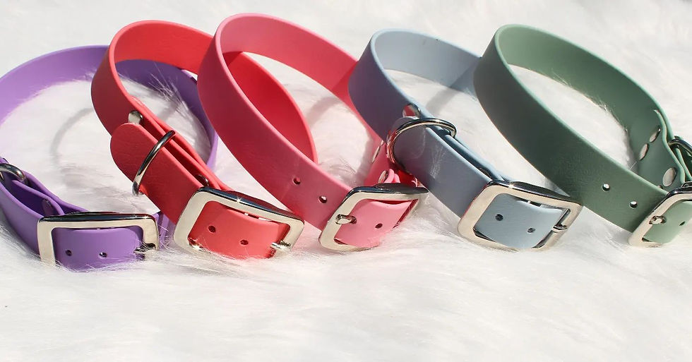 Miniature : Collier Thor, en  biothane pour chien. Collier fait main , réglable .