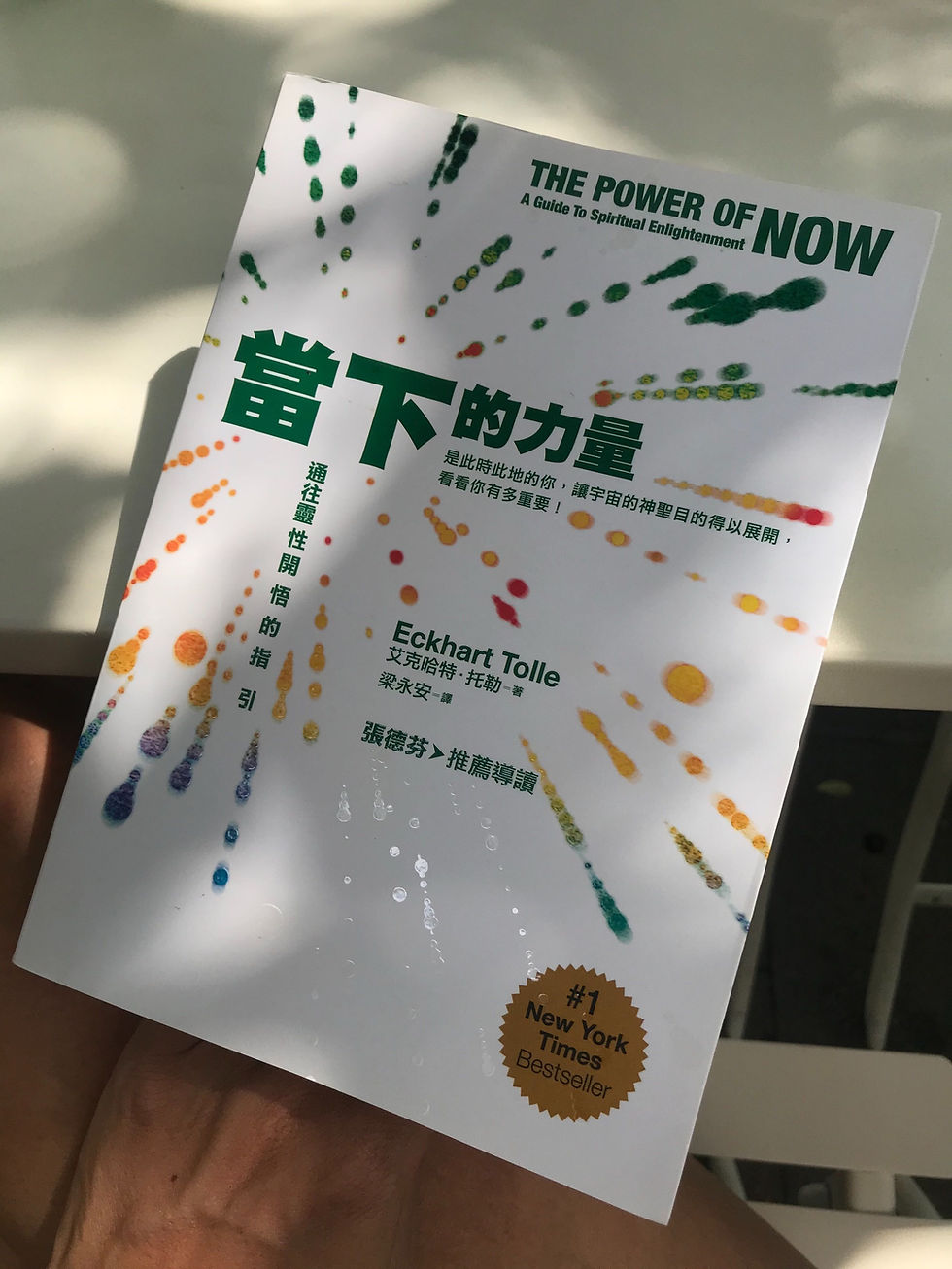 《當下的力量》封面