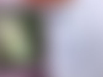 Moving Forwards Fearlessly