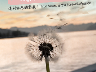 水邊的蒲公英，隨風飛去，溫柔的畫面