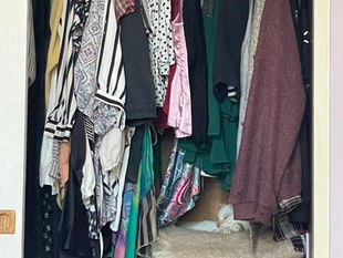 窩在衣櫃一角的貓咪