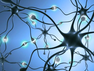 神經可塑性:突破慣性,找回自己