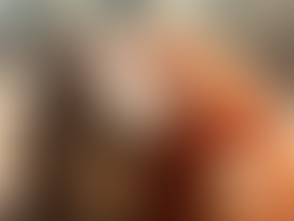 小猴子 Punch 與猩猩玩偶