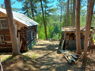 path to cabin 5