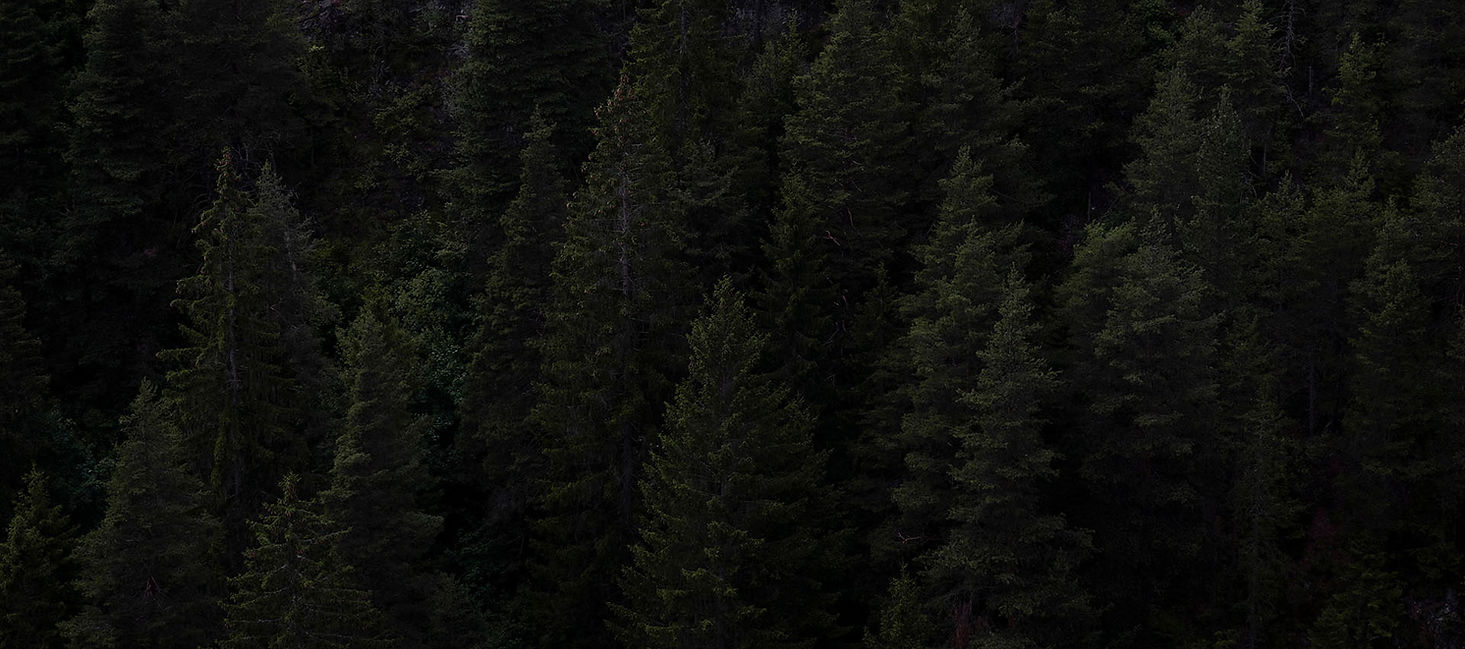 DSCF8236.jpg