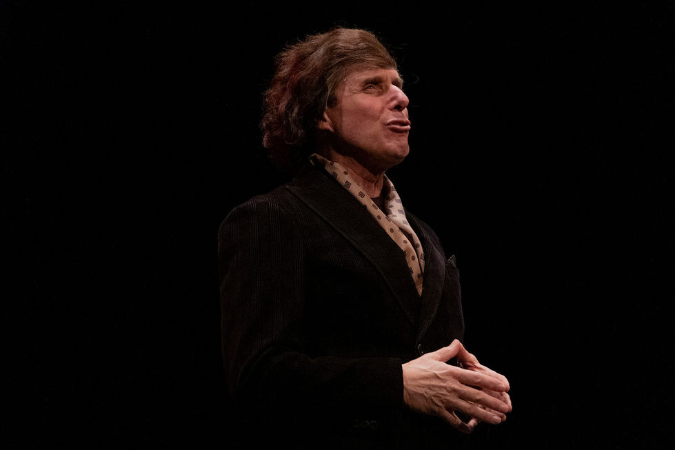 Theater performance, show, comedian, live