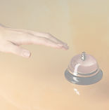 Service Bell _edited_edited.jpg