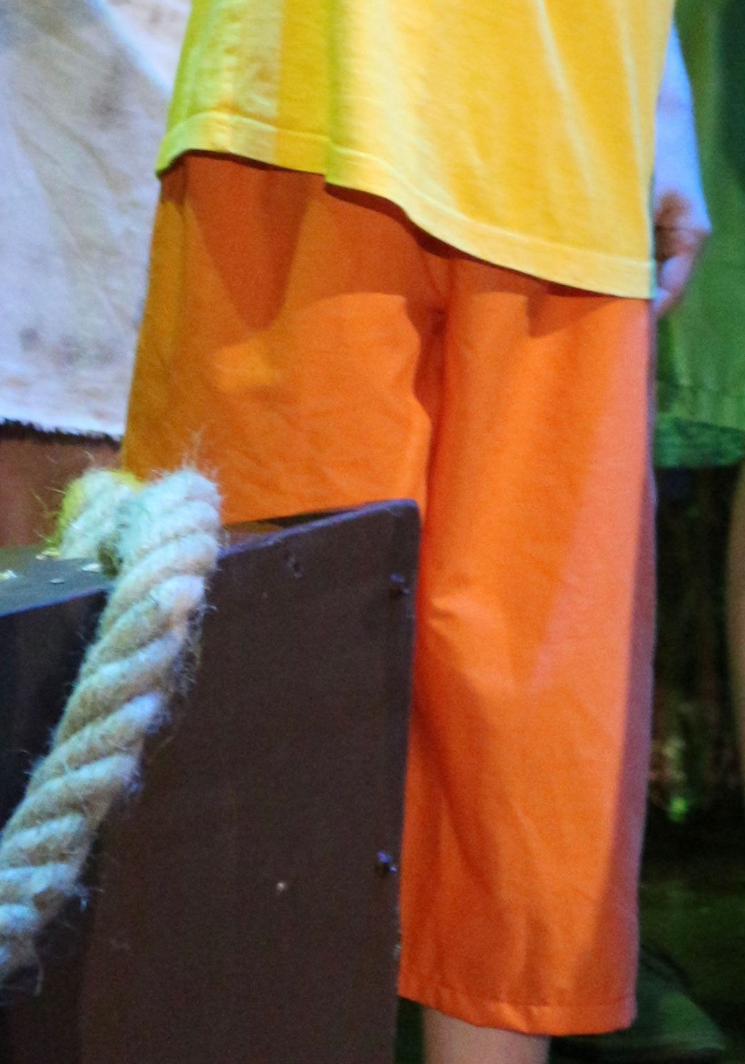 Orange Shorts - Elasticised