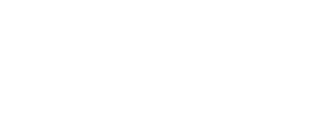 HUB Logo_WHITE.png