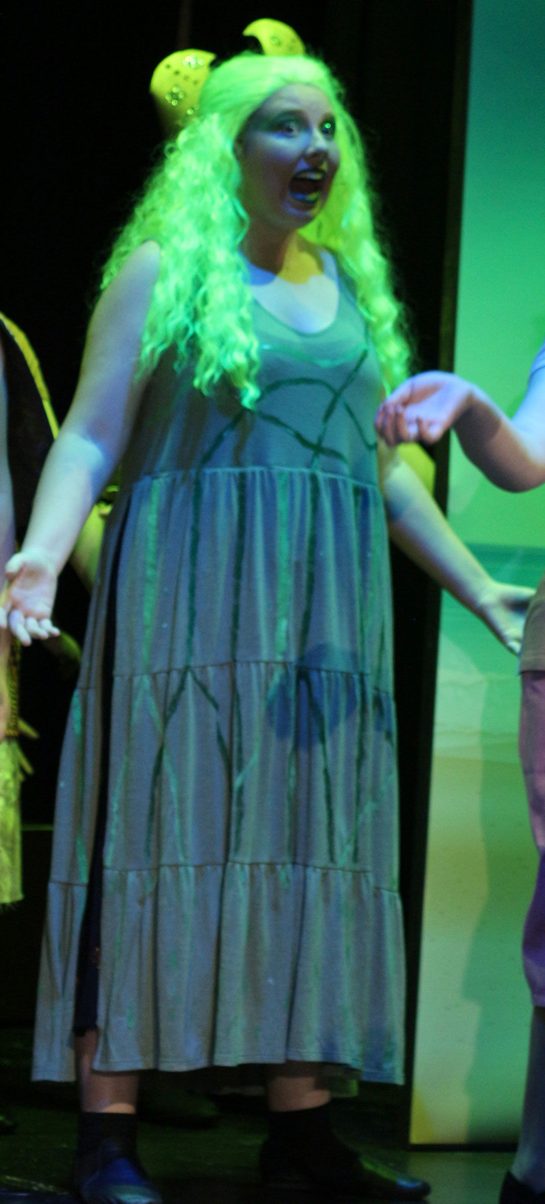 Olive Dress with Green Patterns Te Fiti Kmart 8