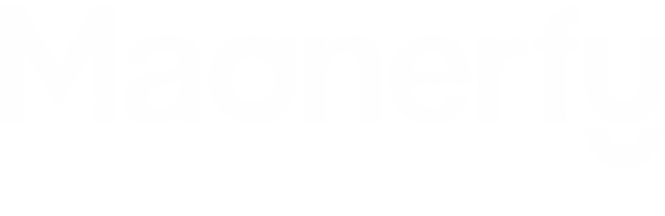 Magnerfy_GIF.gif