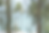 DSC09467_edited.png