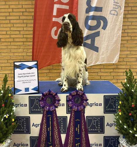 591195902_10240410872352295_154867650727