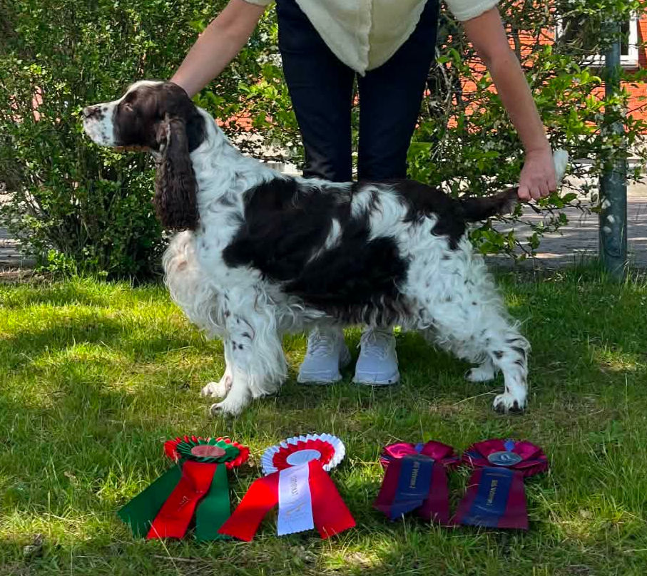 Ny Champion 24.05.2026
