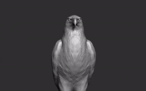 ZBrushMovieAguia-ezgif.com-optimize.gif