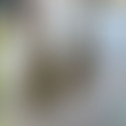 【オールスポーツコミュニティより】写真公開予定日のお知らせ！