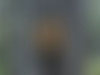 Pacific Crest Trail trail marker