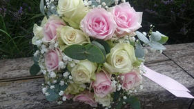 WhatsApp Image 2020-11-06 at 20.50.41 (3
