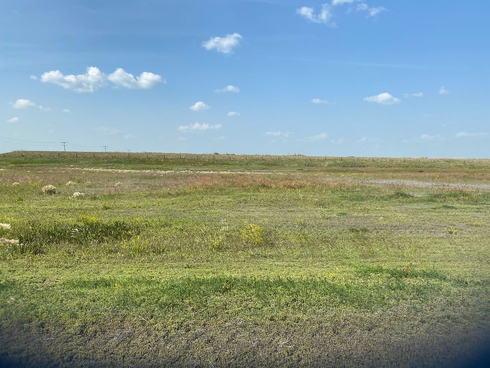 Project Site