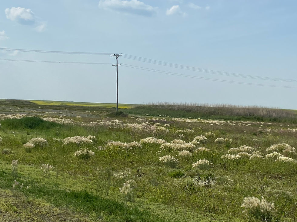 Project Site