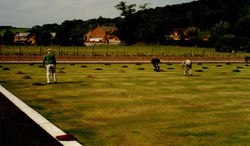 13a. Autumn 1993 Top Dressing