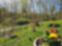 20250501_111514.jpg