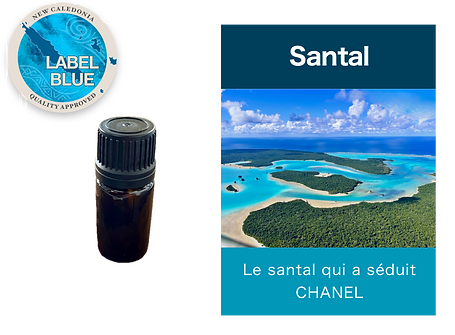 Santal FR.png