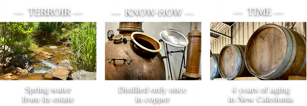 New Caledonia Whisk 2.png