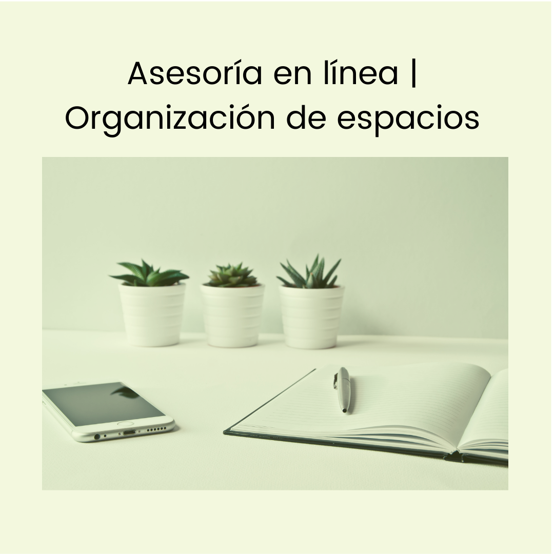 Asesoría en Línea | Organización de Espacios