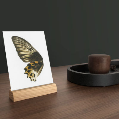 Thumbnail: Card holder short S
