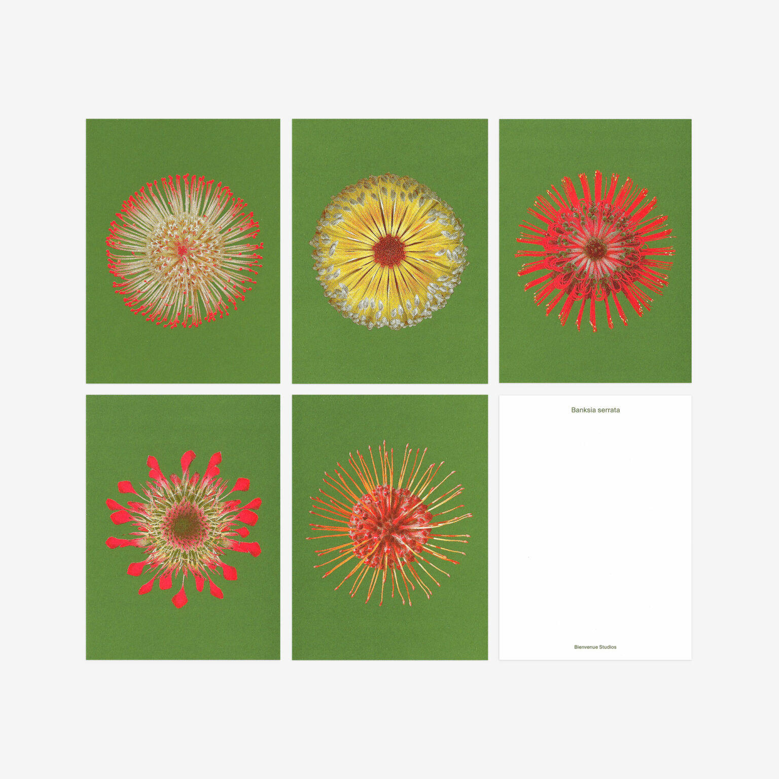 Kartenset von Bienvenue Studios Fire Flowers No19