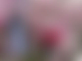 Spiele & Bastelideen